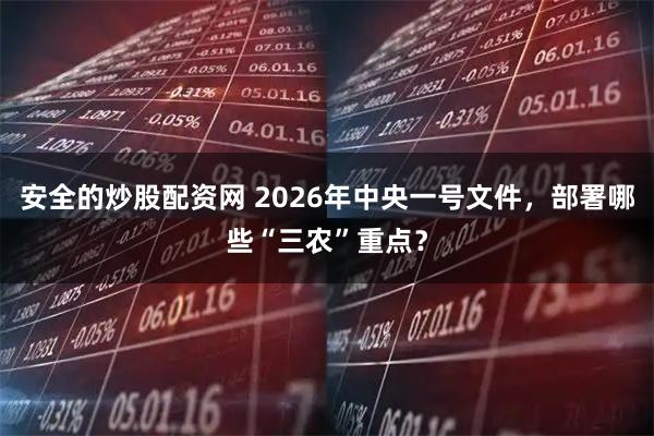 安全的炒股配资网 2026年中央一号文件，部署哪些“三农”重点？