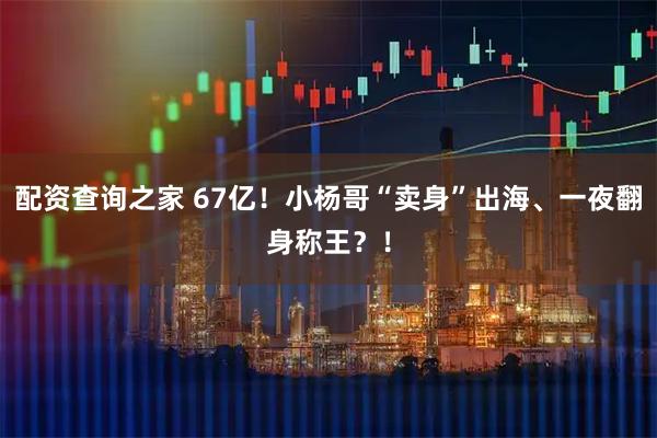 配资查询之家 67亿！小杨哥“卖身”出海、一夜翻身称王？！